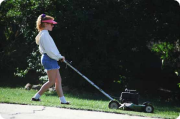 Mowing and Tree Trimming